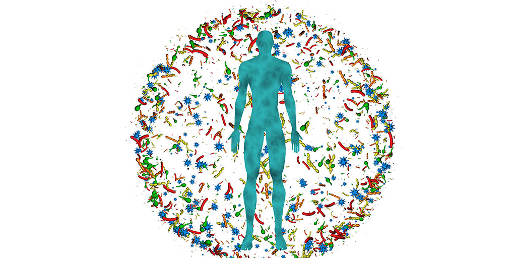 Gut Health